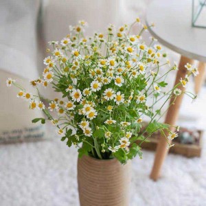 What elegant chamomile essential oil does for the skin?