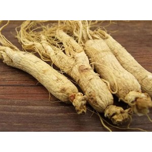 Several effects of ginsenosides, the active ingredient of ginseng extract
