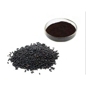 Black rice is known as a health product. What is the effect of black rice extract?