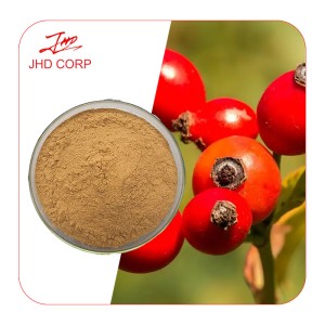 Rose Hips Fruit Extract 