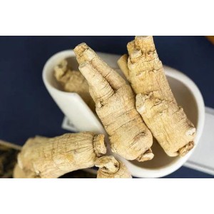 American Ginseng Extract
