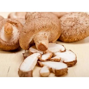 Shiitake Mushroom Extracts