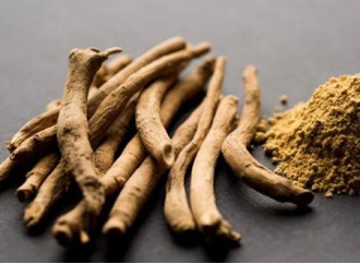 What are some things to look for when choosing ashwagandha extract supplement?