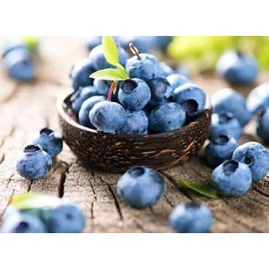 Bilberry Extract Anthocyanins