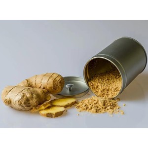 Ginger extract has been shown to eliminate senescent cells