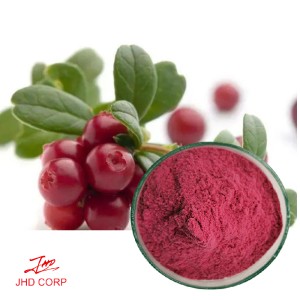 Cranberry (Vaccinium macrocarpon)  Extract 6%(25:1)