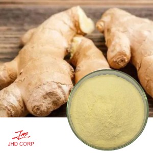 Ginger Root Extract  ---  Gingerol 5%
