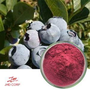 Bilberry Extract Anthocyanin 25%