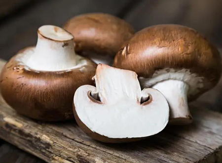 shiitake mushroom extract - lentinan